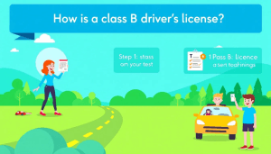 Gráfico que muestra los requisitos para obtener el carnet de conducir B.